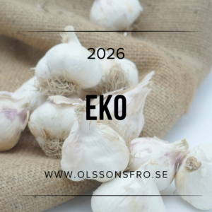 Germidour EKO