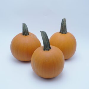 Cannon Ball – 20 st