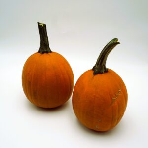 Mischeif F1 – 20 st