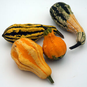 Harrowsmith Select – 20 st