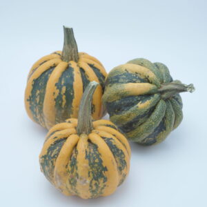 Kamo‐Kamo – 20 st