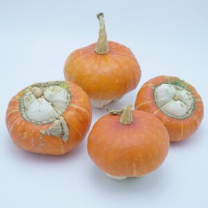 Miniturban – 20 st