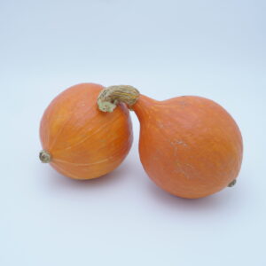 Uchiki Kuri – 20 st