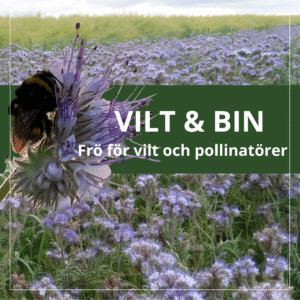 Vilt & bin