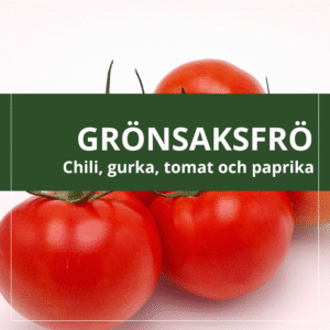 Grönsaksfrö
